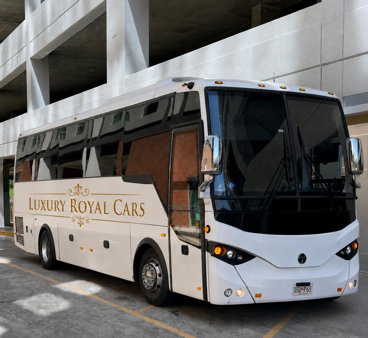 34 Passanger Couch Bus vehicle